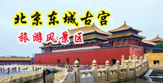 看操骚逼视频免费的中国北京-东城古宫旅游风景区